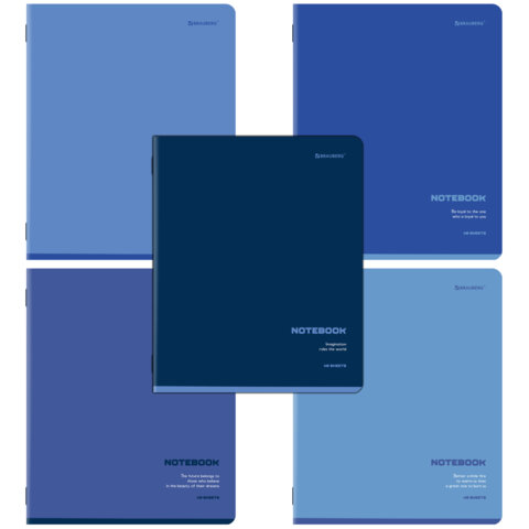 превью Тетради ДЭК А5 48 л. КОМПЛЕКТ 5 шт. BRAUBERG, скоба, клетка, SoftTouch, «КЛАССИКА BLUE»