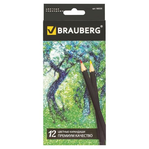 превью Карандаши цветные BRAUBERG, 12 цветов, черный корпус, заточенные, высшее качество, живопись
