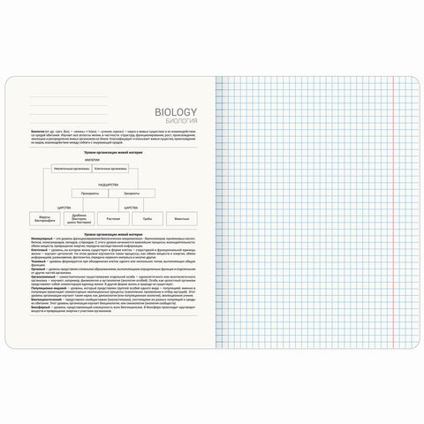 Тетрадь предметная «PASTEL» 48 л., SoftTouch, фольга, БИОЛОГИЯ, клетка, BRAUBERG