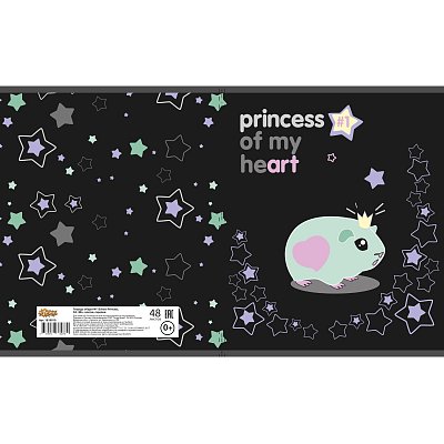 Тетрадь общая А5 48л Princess, клет, скреп, ВД-лак