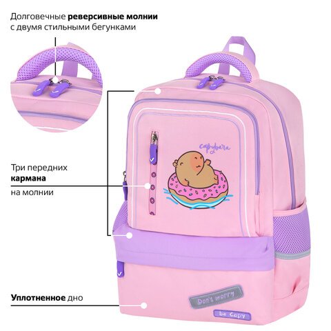 Рюкзак BRAUBERG STAR, 1 отделение, 5 карманов, «Capybara», розовый, 40×29x13 см