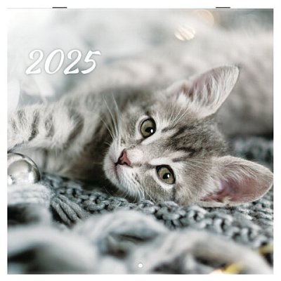 Календарь настенный перекидной на 2025 г., BRAUBERG, 12 листов, 29×29 см, «Милые котики»
