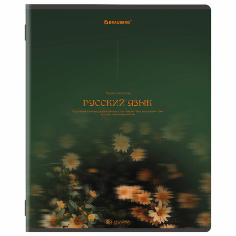Тетради предметные, КОМПЛЕКТ 13 ПРЕДМЕТОВ, 48 л., SoftTouch, BRAUBERG «PEACEFUL»
