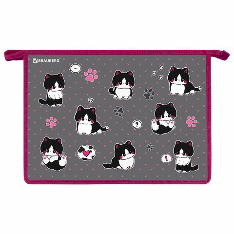 превью Папка для труда на молнии BRAUBERG А4, 2 отделения, органайзер, «Cat patches»