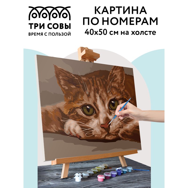 Картина по номерам на холсте ТРИ СОВЫ «Рыжик», 40×50, с акриловыми красками и кистями