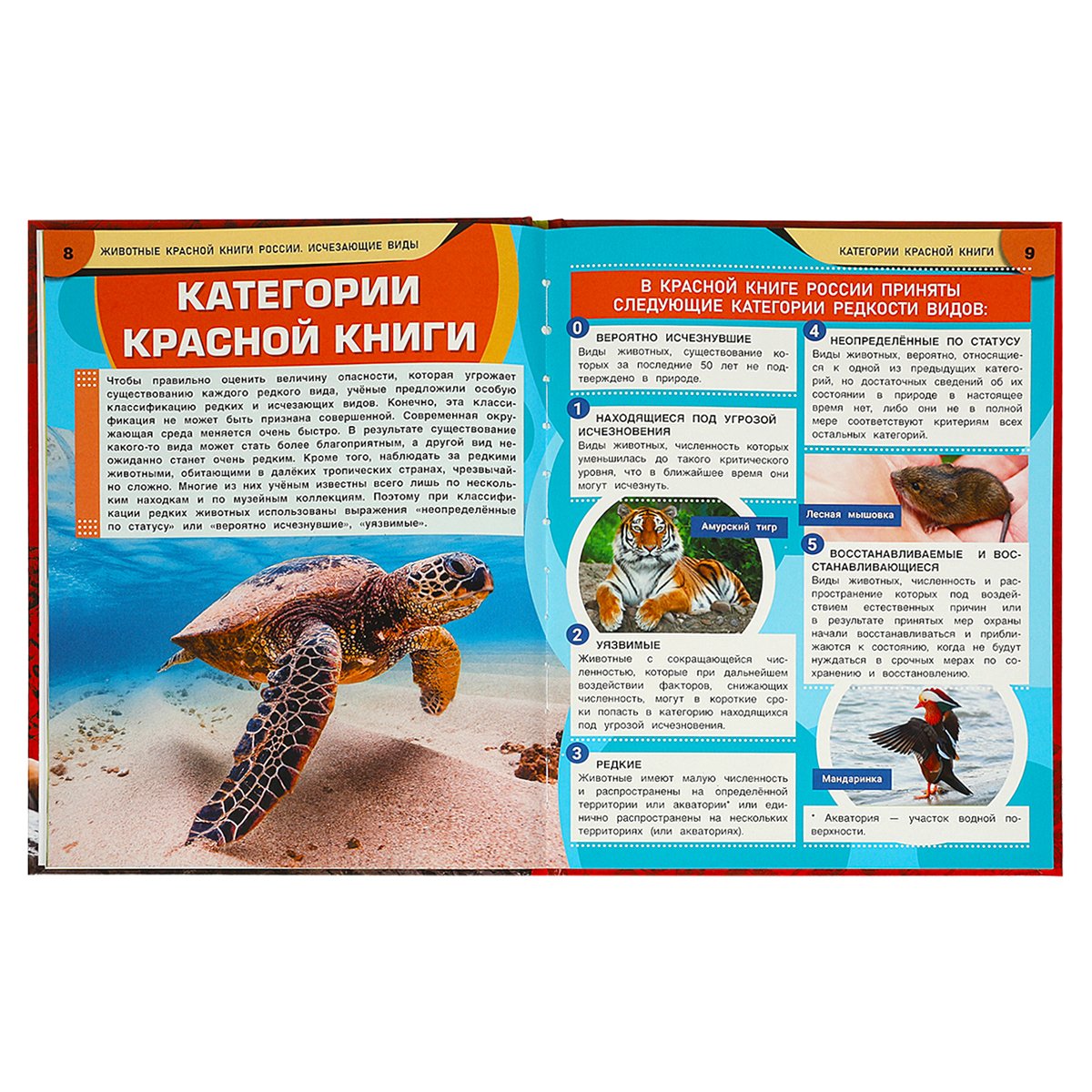 Энциклопедия Умка 197×255, «Животные Красной книги России. Исчезающие виды», 48стр. 