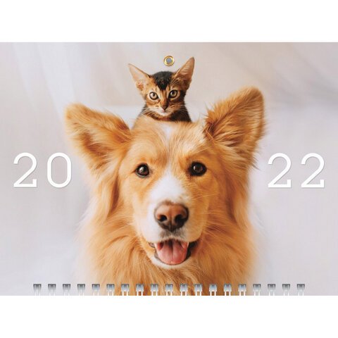 Пес Новый Сезон 2022 Год Пес Новый Сезон 2022 Год