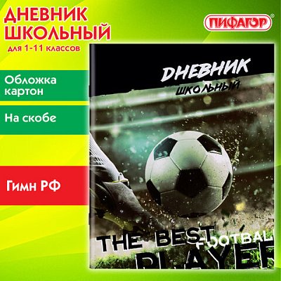 Дневник 1-11 класс 40 л., на скобе, ПИФАГОР, обложка картон, «Футбол»