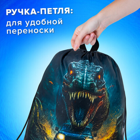Мешок для обуви BRAUBERG KIDS, с петлей, 42×34 см, «Dino chase»