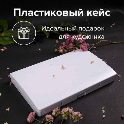 Акварель художественная кюветы НАБОР 48 цветов по 3.5 г, пластиковый кейс, BRAUBERG ART CLASSIC
