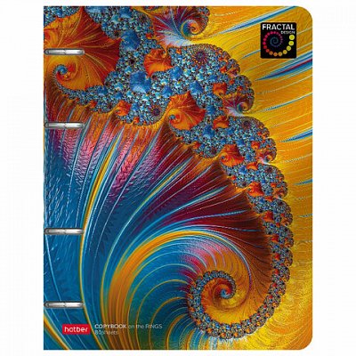 Тетрадь на кольцах А5 166×220 мм, 80 л., металлизированный картон, клетка, HATBER, «Аммонит», 80ТК5мтлВ1