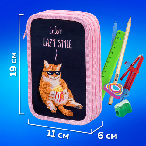 Пенал ПИФАГОР, 3 отделения, ламинированный картон, 19×11 см, «Lazy cat»