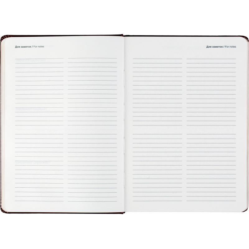 Ежедневник датированный 2025 IF 14×20см 176л. твердый Britannia I1607/brown