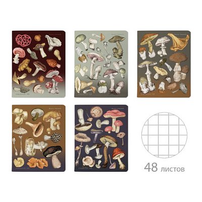 Тетрадь А5, 48 л,. BRUNO VISCONTI, скоба, клетка, Soft-Touch, фольга, «Грибная феерия» (5 видов)