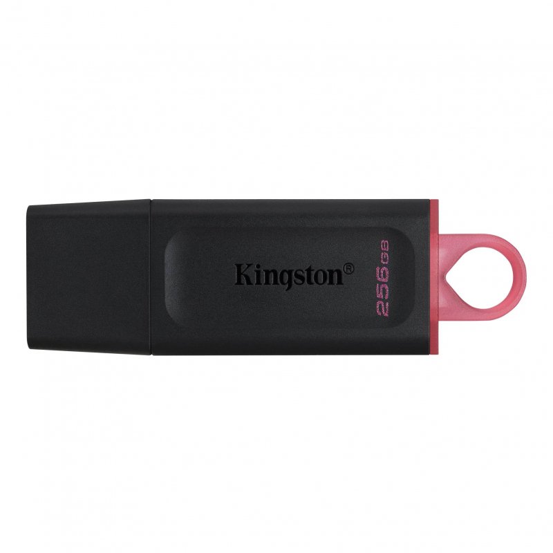 Флеш-память USB 3.2 256 ГБ Kingston DataTraveler Exodia (DTX/256GB)