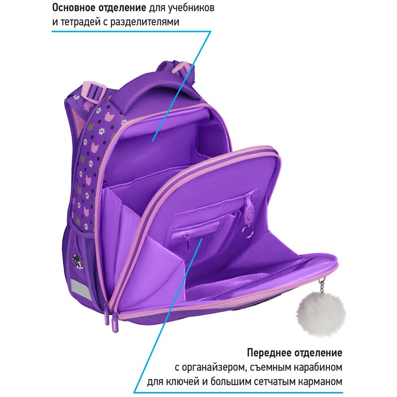 Ранец Berlingo Expert Max «Kittens lilac» 37×28×16см, 2 отделения, анатомическая спинка, дождевик в комплекте