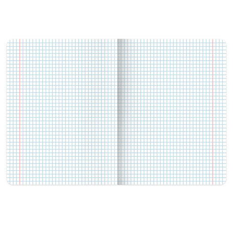 Тетради КОМПЛЕКТ 5 шт. А5, 48 л., BRAUBERG, скоба, клетка, SoftTouch, фольга, «Mountains»