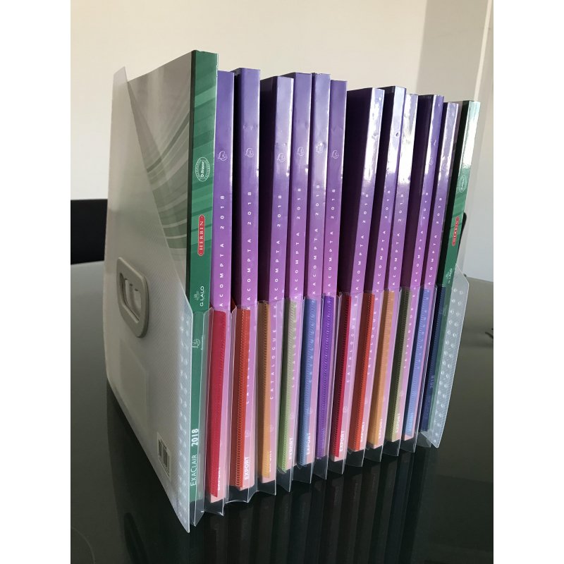 Вертикальный накопитель Exacompta Crystal Magazine File 12 отделений (26.5×32.5 см)
