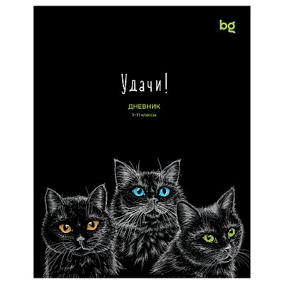 Дневник 1-11 кл. 40л. на скобе BG «Удачи! »