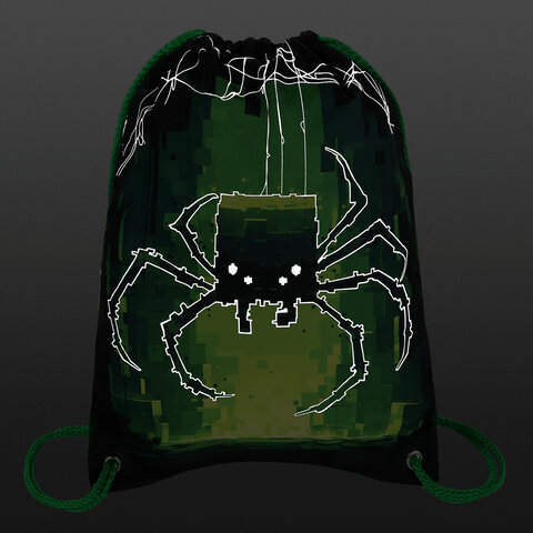 Мешок для обуви BRAUBERG PREMIUM, карман, подкладка, светоотражайка, 43×33 см, Digital spider