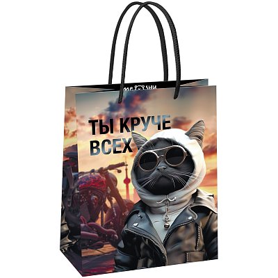 Пакет подарочный 18×23×10см MESHU «Cool guy», глянцевая ламинация