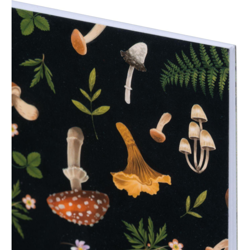 Альбом для рисован. КомусКласс Ночной лес40л 200×240мм обл. карт мат. лам. черн