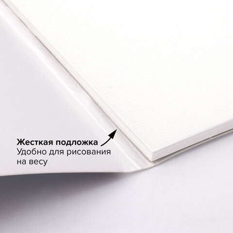 Папка для акварели/планшет, 300 г/м2, 270×390 мм, склейка, крупное зерно, 20 л., BRAUBERG ART PREMIERE