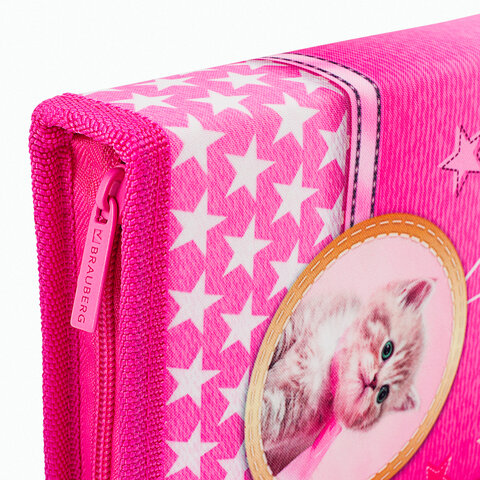 Пенал BRAUBERG1 отделение1 откидная планкаполиэстер21×14 см«Happy kitten»270308