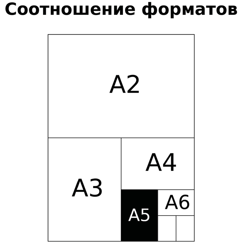 Тетрадь предметная 48л. BG «Квест» - Литература, выб. лак, металлизированный пантон