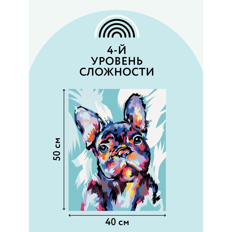 Картина по номерам на холсте ТРИ СОВЫ «Яркий французский бульдог», 40×50, с акриловыми красками и кистями