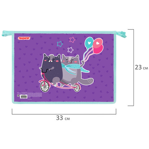 Папка для тетрадей ПИФАГОР А4, 1 отделение, картон/пластик, на молнии, «Bike cats»