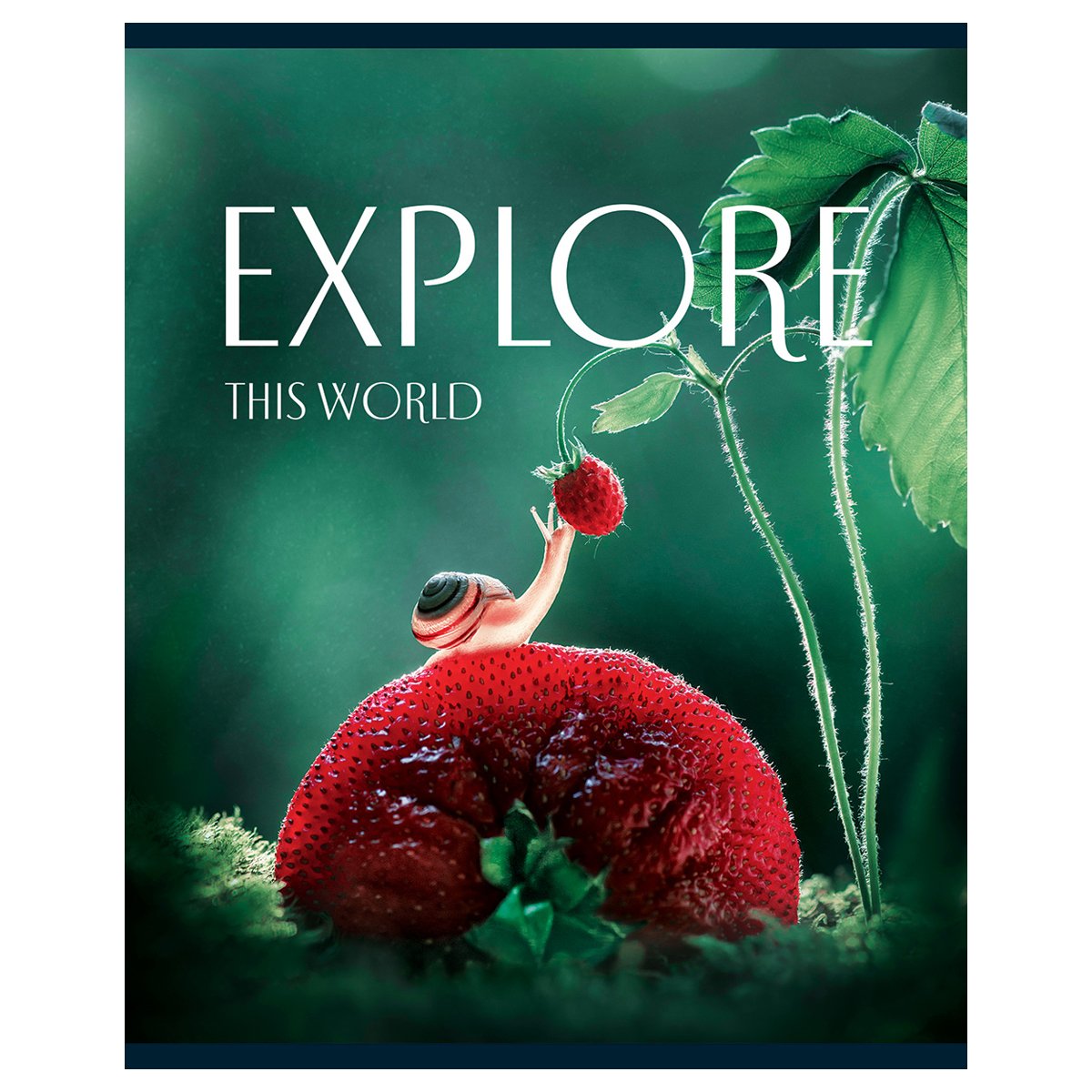 Тетрадь 48л., А5, клетка BG «Explore», глянцевая ламинация