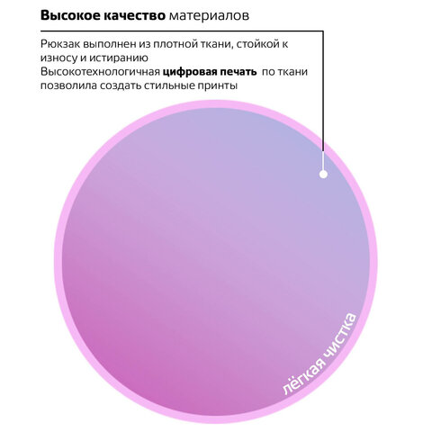 Рюкзак BRAUBERG, универсальный, сити-формат, «Градиент», 20 литров, 41×32×14 см, 228849
