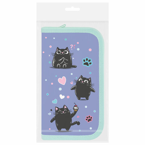 Пенал ПИФАГОР, 2 отделения, ламинированный картон, 19×11 см, «Funny cats»