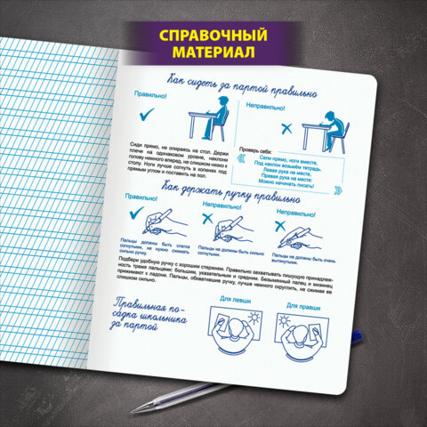 Тетрадь УЧУСЬ ПИСАТЬ № 2 12 л. частая косая линия, со справочным материалом, ЮНЛАНДИЯ