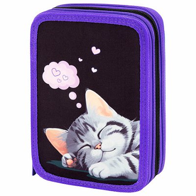 Пенал BRAUBERG, 3 отделения, полиэстер, 21×14 см, «Sleeping kitten»