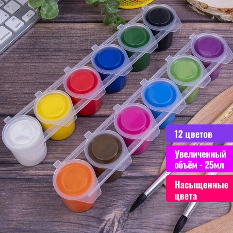 Гуашь BRAUBERG «PREMIUM TURKEY», 12 цветов по 25 мл, картонная упаковка