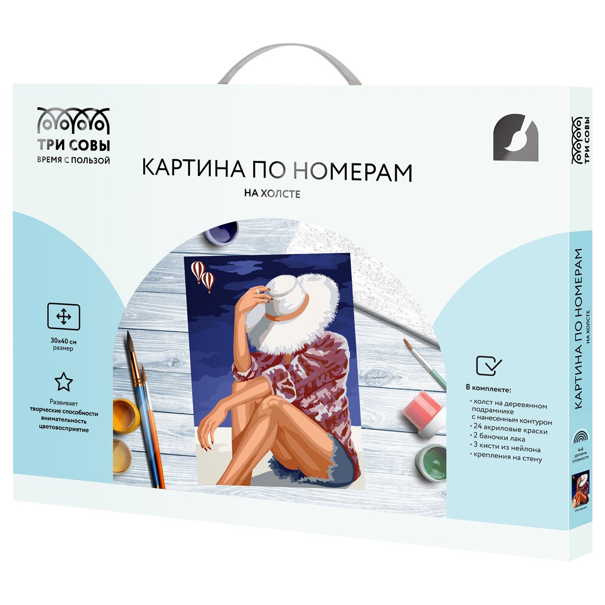 Картина по номерам на холсте ТРИ СОВЫ «На отдыхе», 30×40, с акриловыми красками и кистями