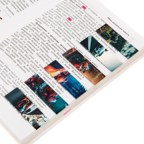 Закладки для книг МАГНИТНЫЕ, «BOYS», набор 12 штук, 60×20 мм, FUNSTER