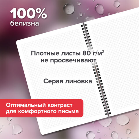 Тетради ДЭК А4 96 л. КОМПЛЕКТ 2 шт., BRAUBERG, гребень, клетка, 80 г/м2, Soft-Touch, «Aesthetics»