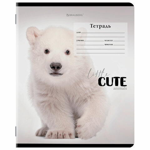 Тетрадь 12 л. BRAUBERG, клетка, обложка картон, CUTE ANIMALS