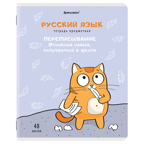 Тетради предметные, КОМПЛЕКТ 12 ПРЕДМЕТОВ, КОТ-ЭНТУЗИАСТ, 48л, TWIN лак, BRAUBERG