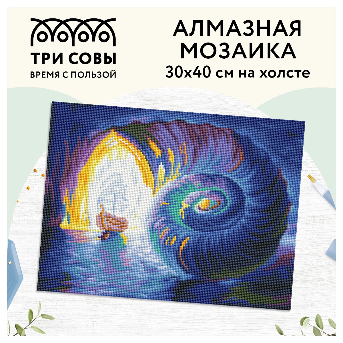 Алмазная мозаика ТРИ СОВЫ «Затерянный мир», 30×40см, холст, картонная коробка с пластиковой ручкой