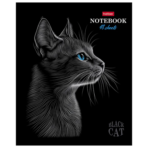 Тетрадь А5, 48 л., HATBER, скоба, клетка, матовая ламинация, 3D-лак, «Black Cat» (микс в спайке), 093159