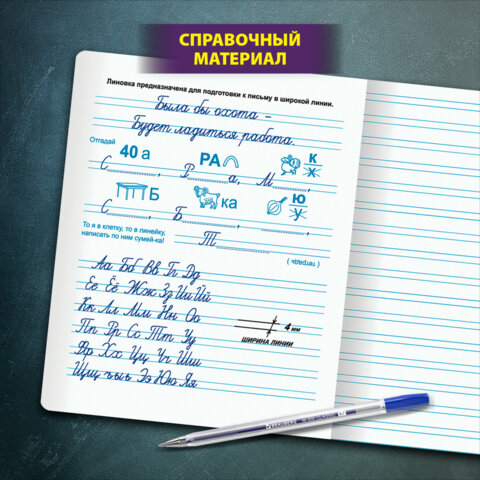 Тетрадь УЧУСЬ ПИСАТЬ № 5 12 л. узкая линия, со справочным материалом, обложка картон, ЮНЛАНДИЯ