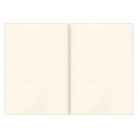 Скетчбук, слоновая кость 100 г/м2, 297х420 мм, 120 л., прошивка, BRAUBERG ART CLASSIC, 128959