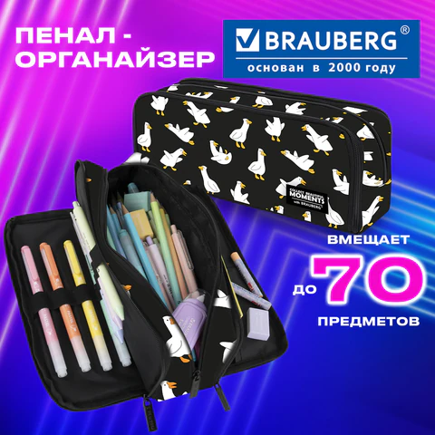 Пенал-органайзер BRAUBERG, 2 откидные планки, полиэстер, 23×9×7 см, «Безумные гуси»
