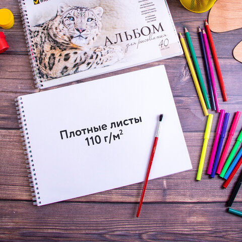 Альбомы для рисования А4 40 л., КОМПЛЕКТ 4 шт., гребень, обложка картон, BRAUBERG, 205×290 мм, «Хищники» (2 вида)