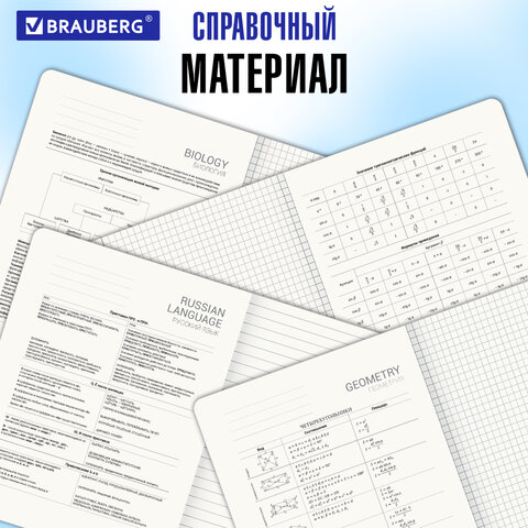 Тетради предметные, КОМПЛЕКТ 5 ПРЕДМЕТОВ, 48 л., SoftTouch, BRAUBERG «РИТМ»