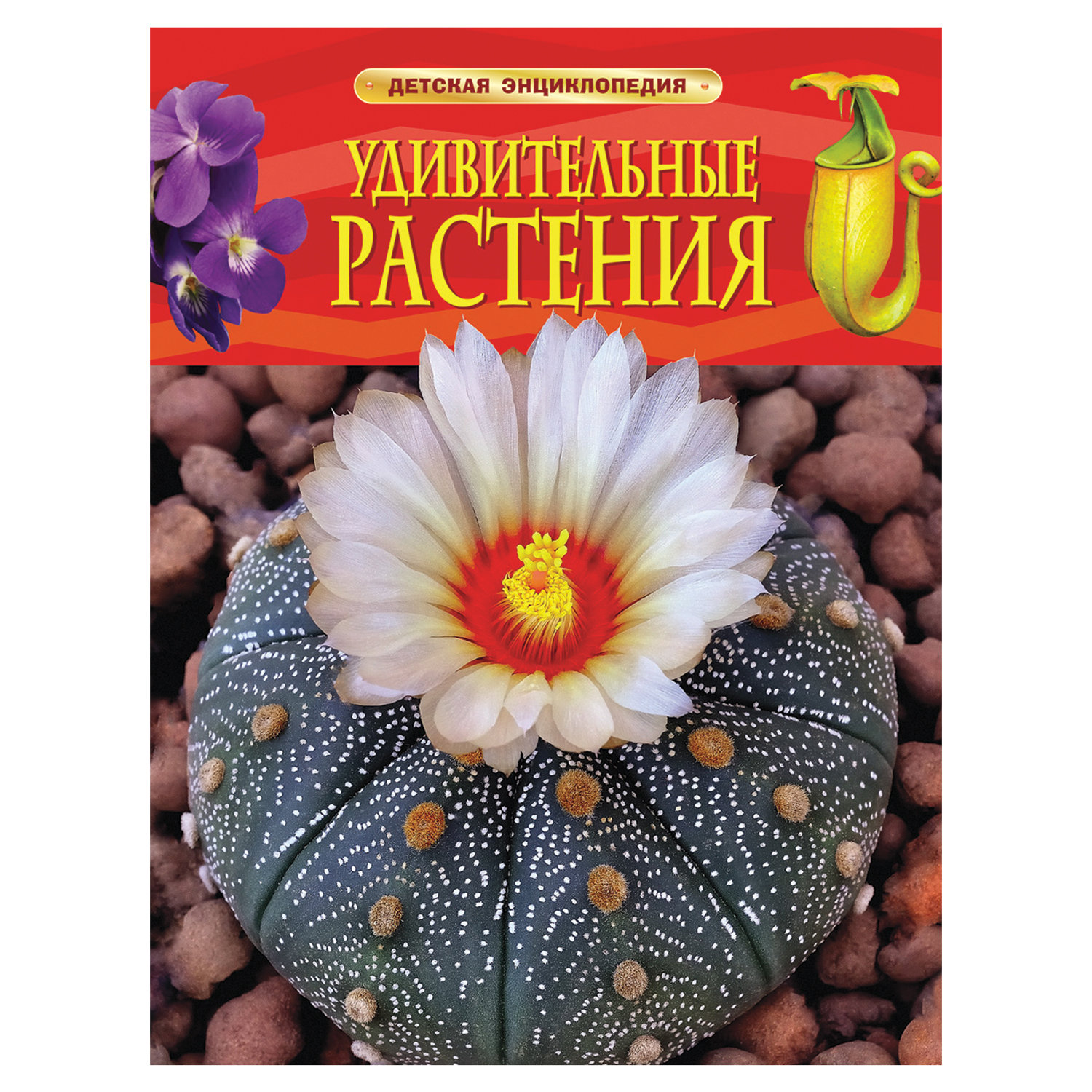 Купить Книгу Энциклопедия